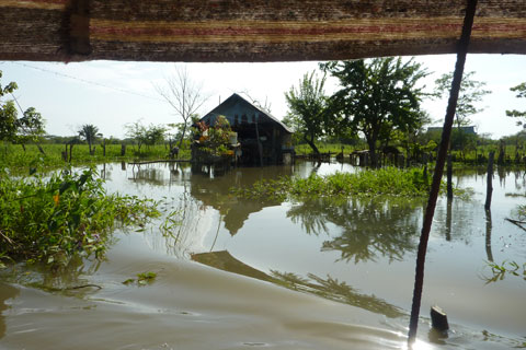 Mompox Swamps