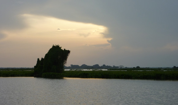 View of swamps near Mompox