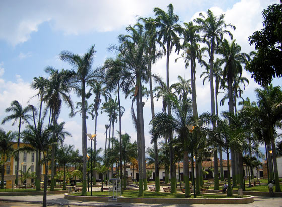 Parque Rovira, Bucaramanga