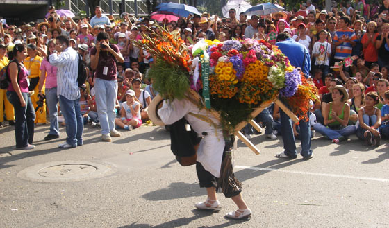 A 'silletera' carrying a flower decoration at the Feria de Las Flores, Medellin