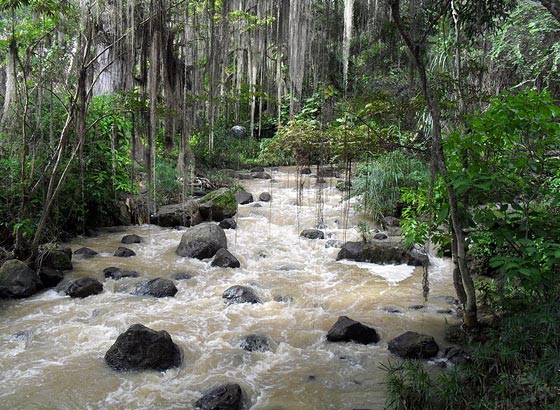 Parque Natural El Gallineral, San Gil, Colombia